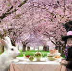 Alice in Wonderland